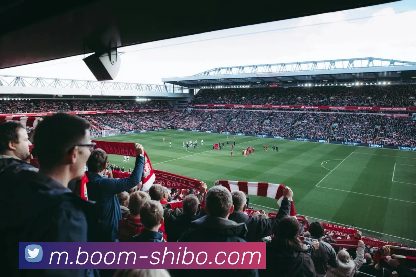 App Interface Preview